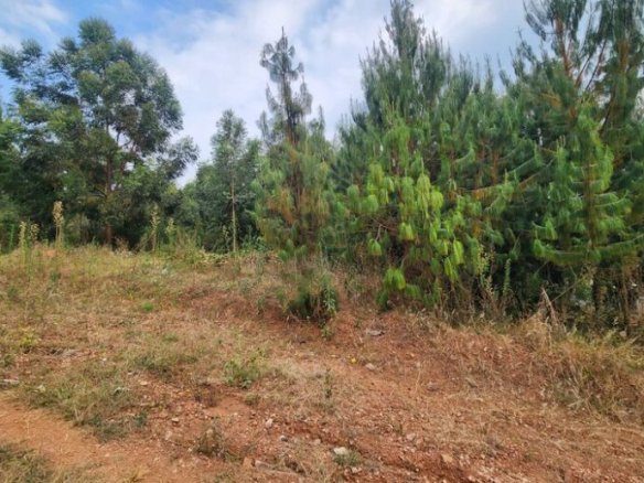 Rebero land for sale