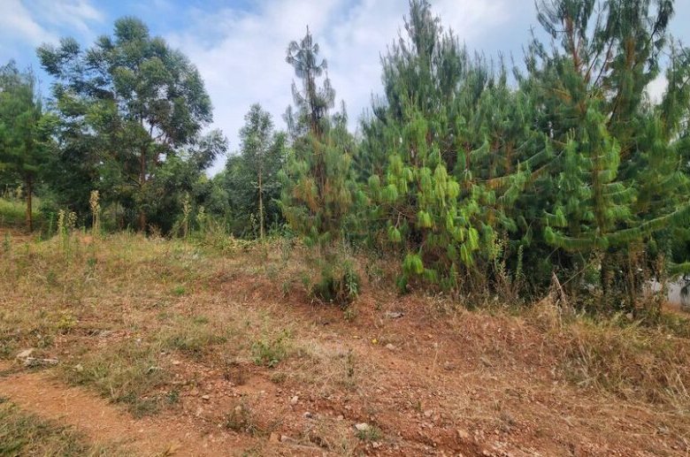 Rebero land for sale