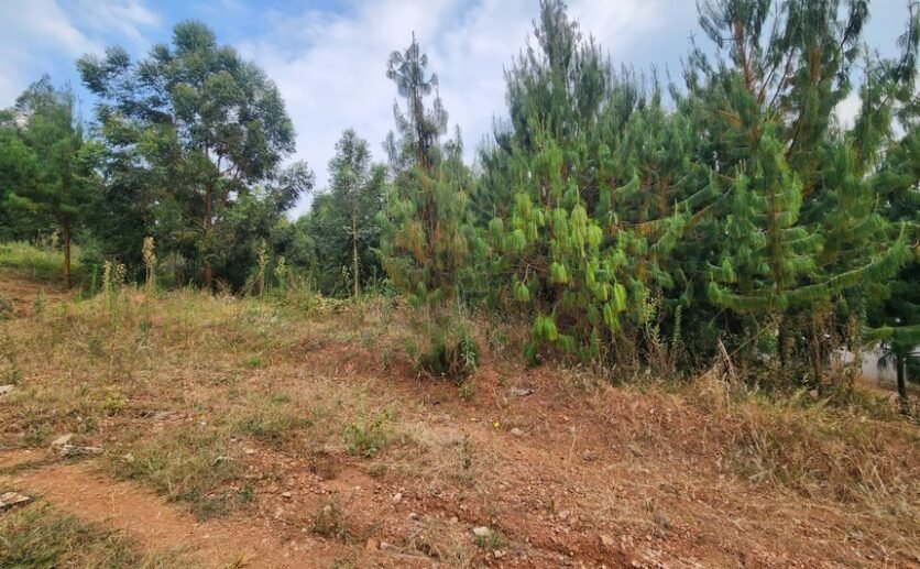 Rebero-land-for-sale-plut-properties-6-836×517 Rebero land for sale