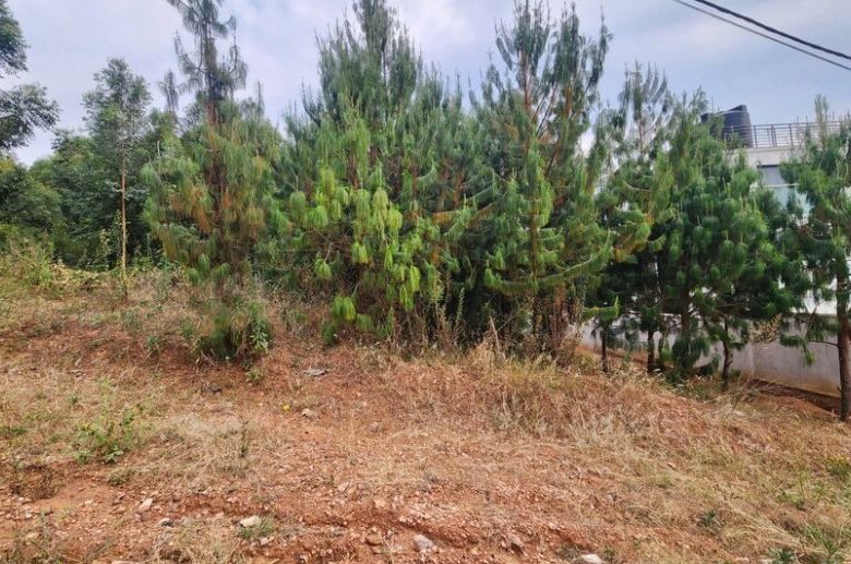 Rebero land for sale