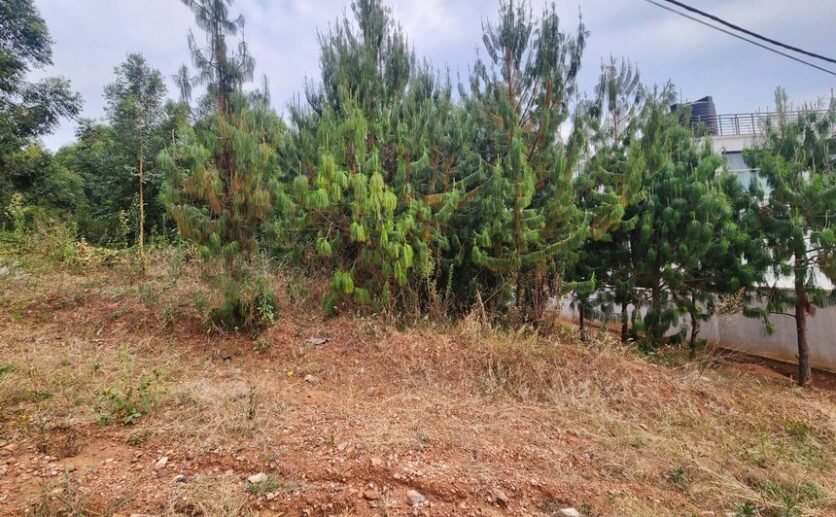 Rebero-land-for-sale-plut-properties-7-836×517 Rebero land for sale