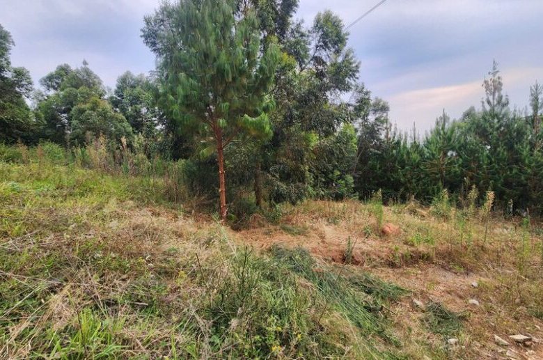 Rebero land for sale