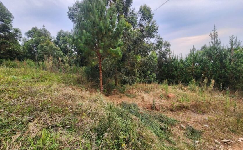 Rebero-land-for-sale-plut-properties-8-836×517 Rebero land for sale