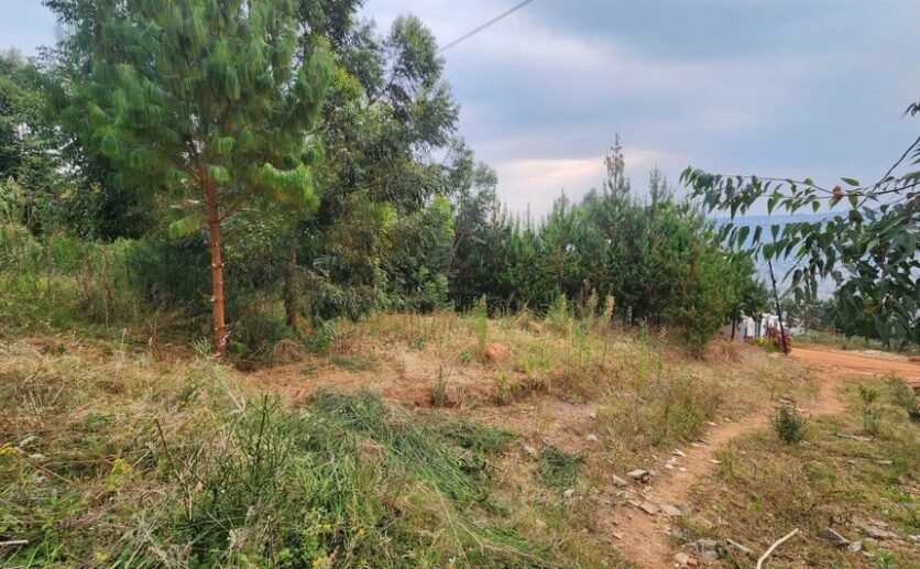 Rebero-land-for-sale-plut-properties-9-836×517 Rebero land for sale