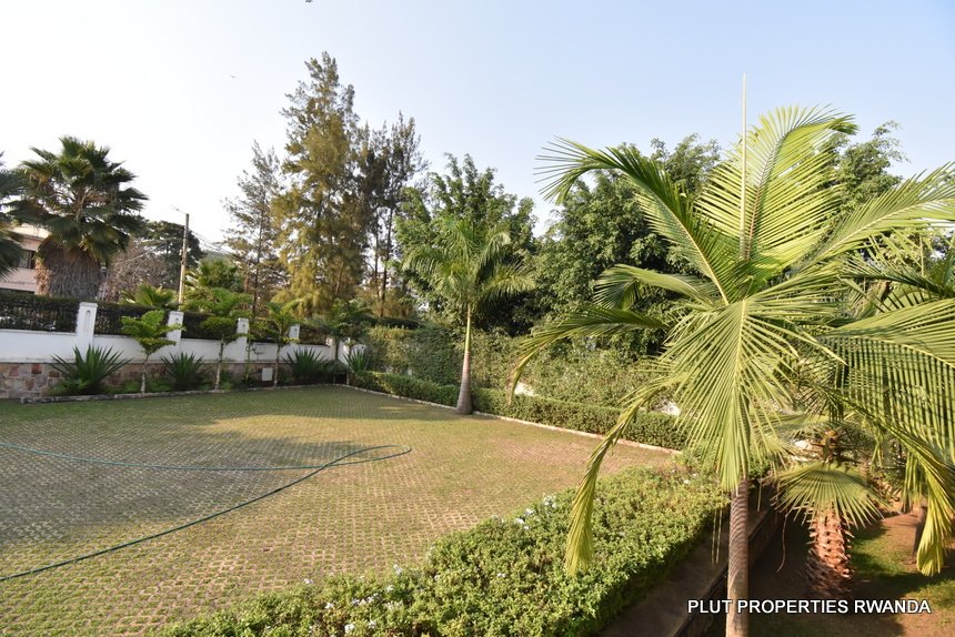 Furnished 1-Bedroom Apartment for Rent.