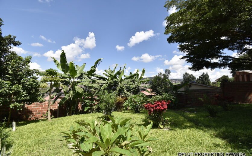 Rent in Kiyovu.