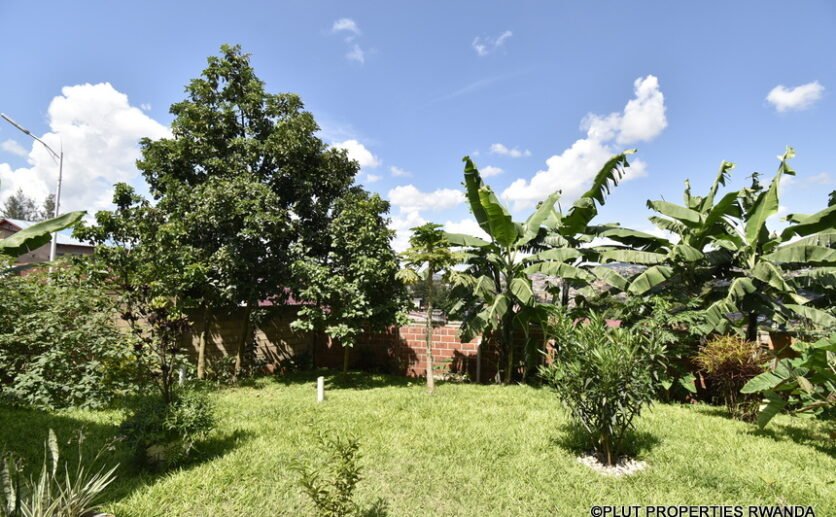 Rent in Kiyovu.