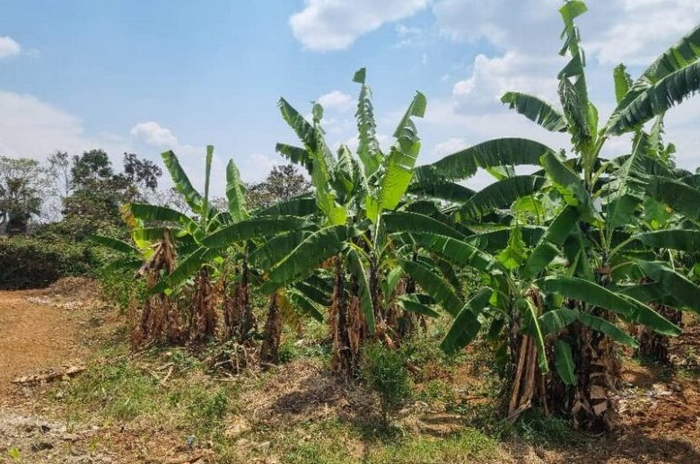 Residential plot for sale in Rusororo Kigali