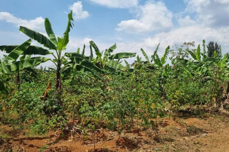 Residential plot for sale in Rusororo Kigali