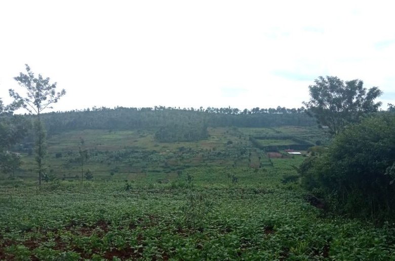 Buy land in Rwamagana.