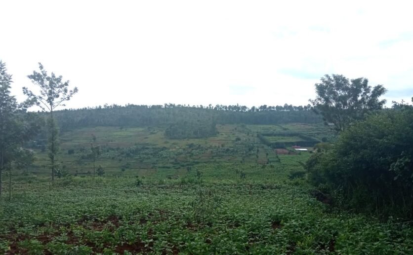 Buy land in Rwamagana.