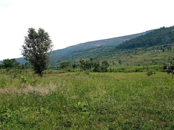 Buy land in Rwamagana.