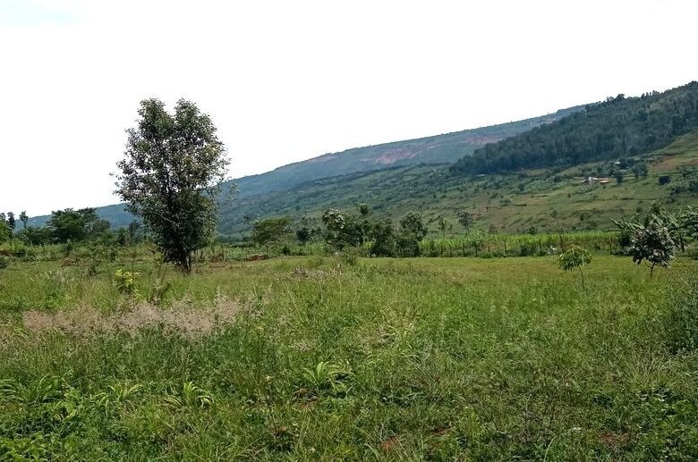 Buy land in Rwamagana.