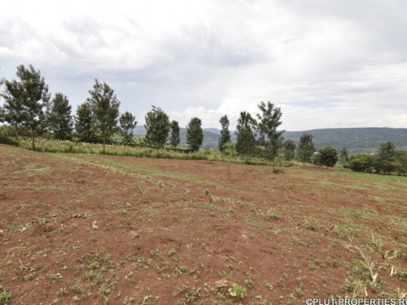 Buy land in Rwamagana.