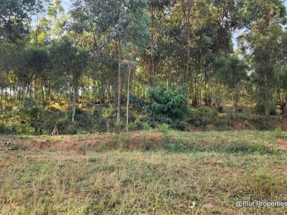 Forest Zoned Land for Sale – Rusororo, Gasabo (P3B Zone)