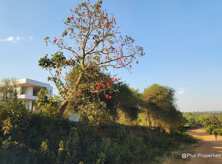 Industrial Land for Sale – Rusororo, Gasabo (I1 – Light Industrial Zone)