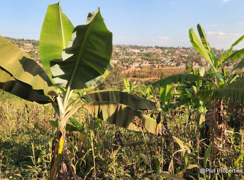 Industrial Land for Sale – Rusororo, Gasabo (I1 – Light Industrial Zone)