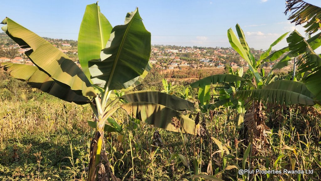 industrial land rusororo for sale (2) Industrial Land for Sale – Rusororo, Gasabo (I1 – Light Industrial Zone)