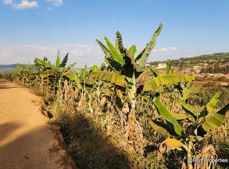 Industrial Land for Sale – Rusororo, Gasabo (I1 – Light Industrial Zone)