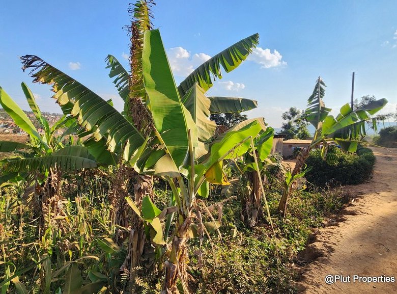 Industrial Land for Sale – Rusororo, Gasabo (I1 – Light Industrial Zone)