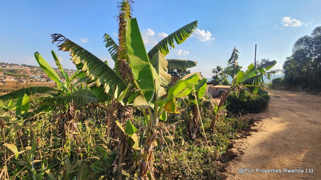 industrial land rusororo for sale (4) Industrial Land for Sale – Rusororo, Gasabo (I1 – Light Industrial Zone)