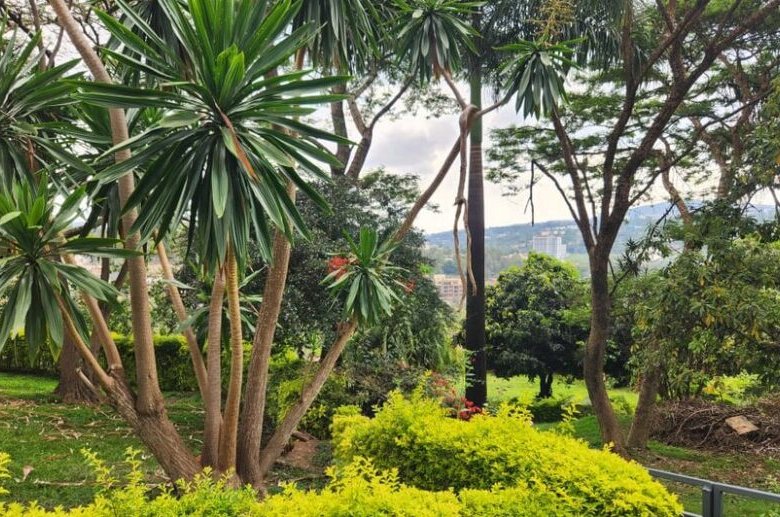 Prime Land for Sale in Kacyiru Diplomatic Area – Kigali, Rwanda