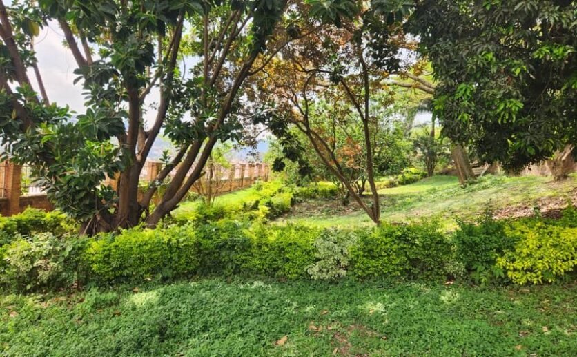 Prime Land for Sale in Kacyiru Diplomatic Area – Kigali, Rwanda