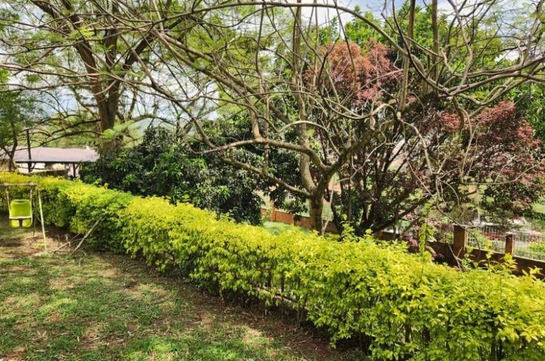 Prime Land for Sale in Kacyiru Diplomatic Area – Kigali, Rwanda