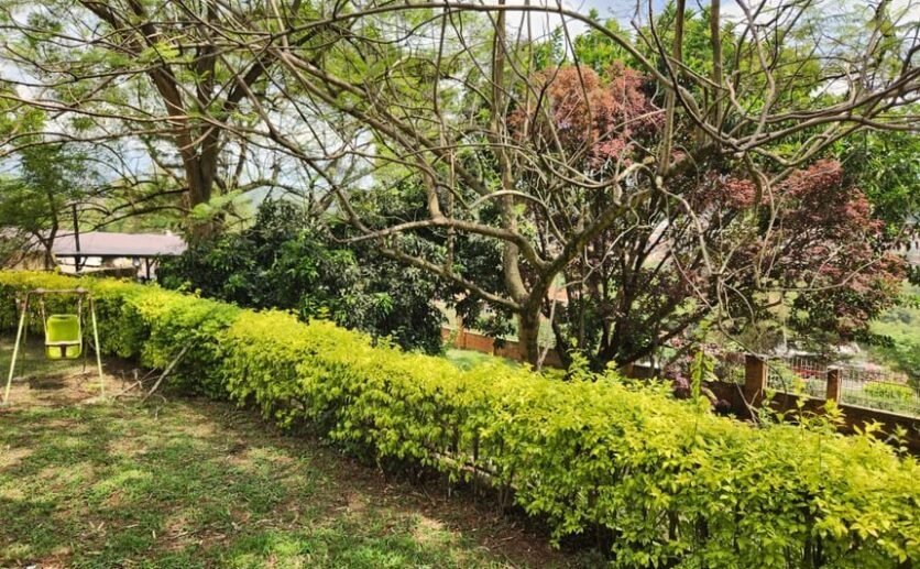 Prime Land for Sale in Kacyiru Diplomatic Area – Kigali, Rwanda