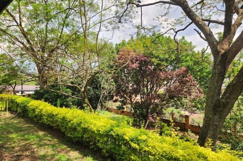 Prime Land for Sale in Kacyiru Diplomatic Area – Kigali, Rwanda