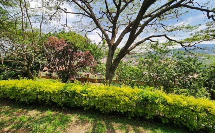 Prime Land for Sale in Kacyiru Diplomatic Area – Kigali, Rwanda