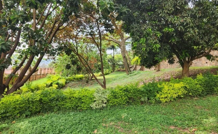 Prime Land for Sale in Kacyiru Diplomatic Area – Kigali, Rwanda