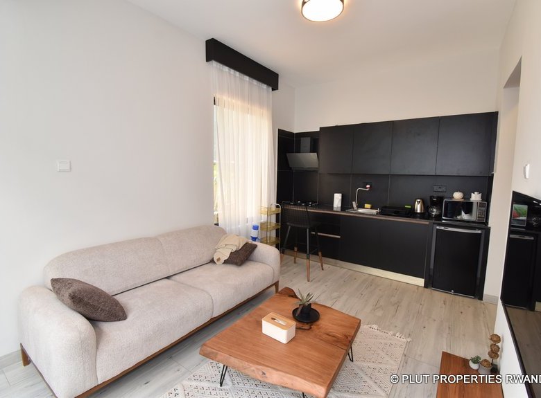 One Bedroom Apartment 