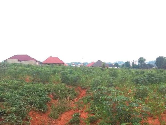 Big Land for sale in Nyamata Bugesera. 