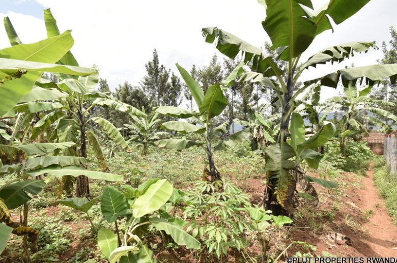 Land for sale in Muyumbu Rwamagana.