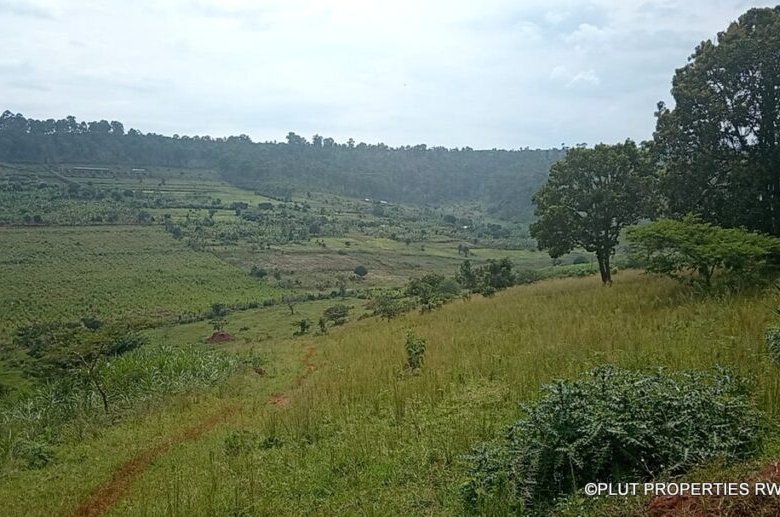 Land for sale in Rwamagana.