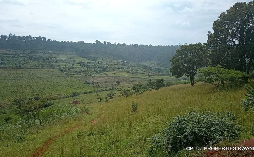 Land for sale in Rwamagana.