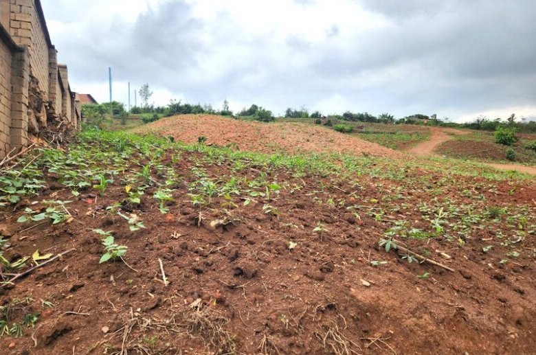 Prime Industrial Land for Sale in Kigali Prime Economic Zone, Phase 3