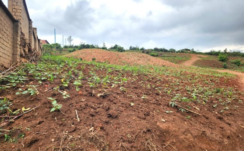 land-in-economic-zone-for-sale-plut-properties-rwanda-6-836×517 Prime Industrial Land for Sale in Kigali Prime Economic Zone, Phase 3