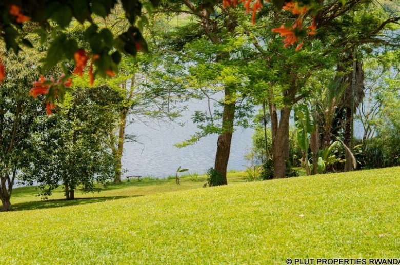 Property on the Lake
