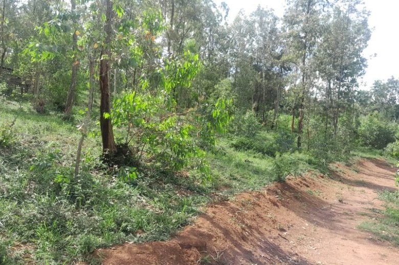 Plot for sale in Nyamirambo. 