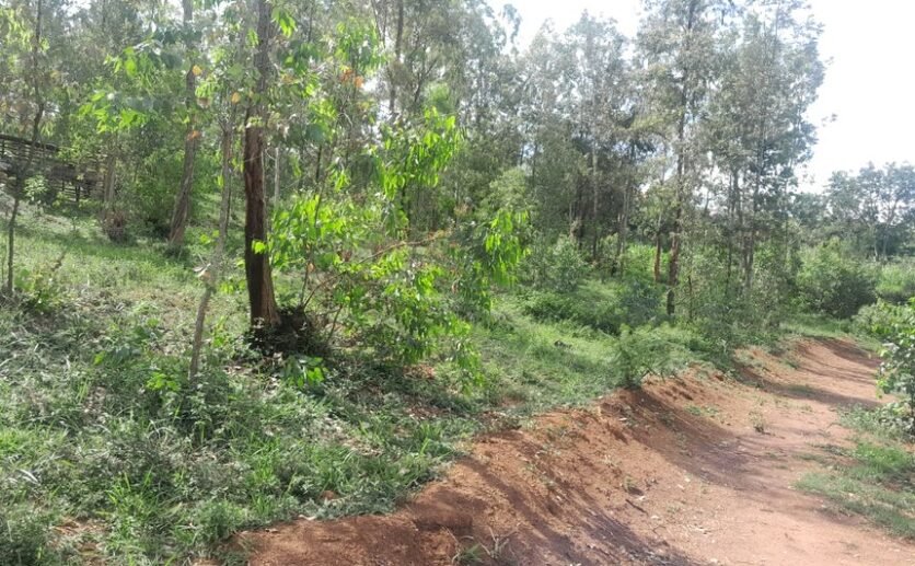 plot-for-sale-in-Kanombe-4-836×517 Plot for sale in Nyamirambo.