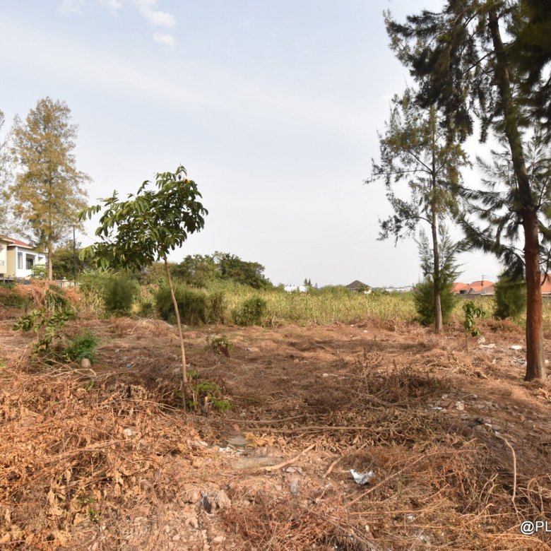 Plots for Sale in Rusororo – Prime Residential Land