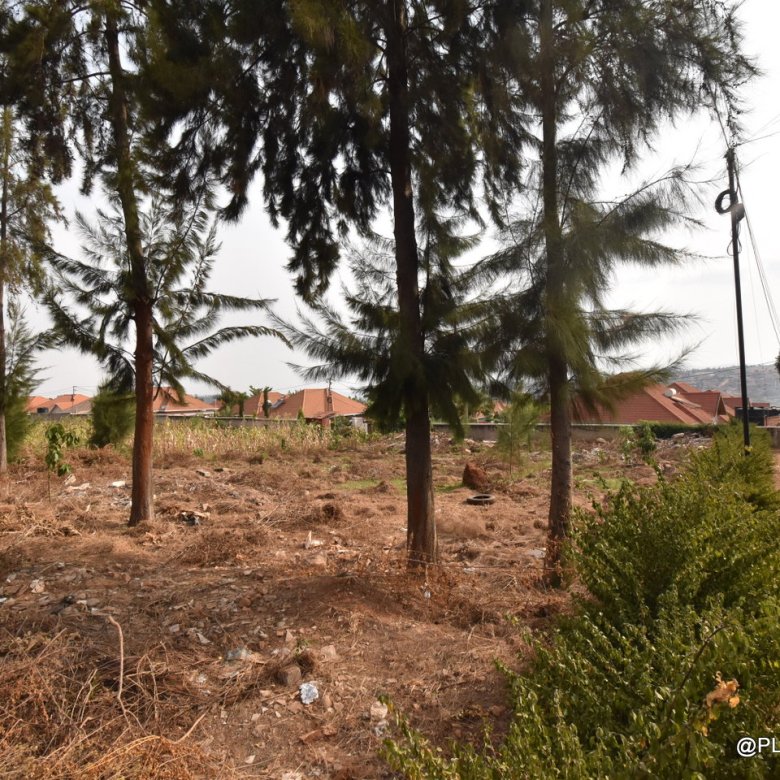 Plots for Sale in Rusororo – Prime Residential Land