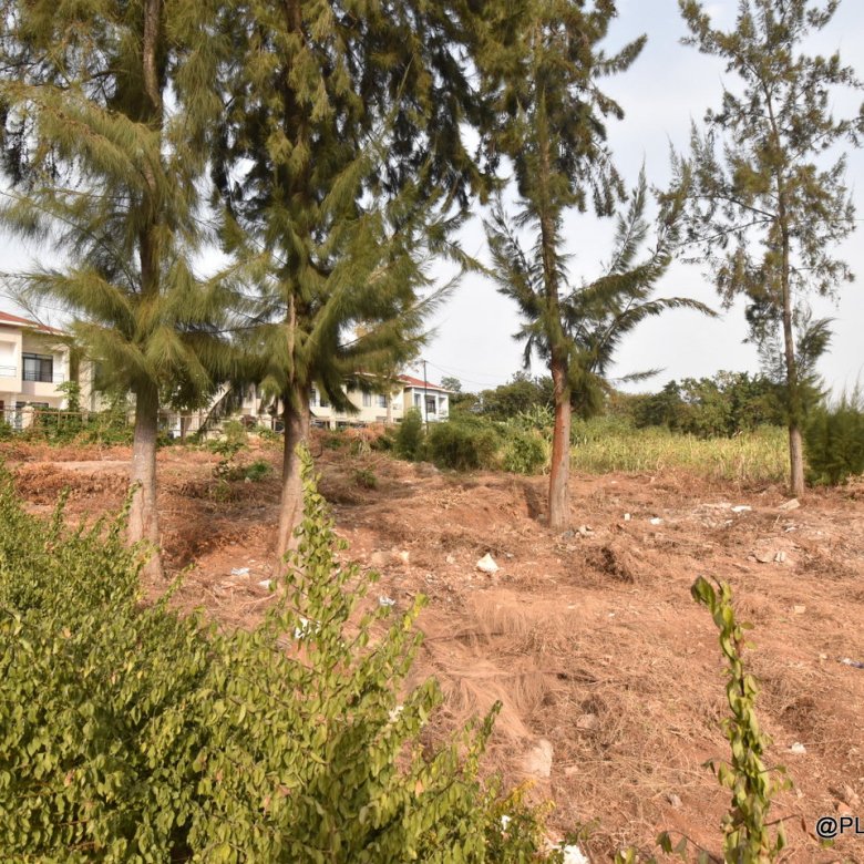 Plots for Sale in Rusororo – Prime Residential Land