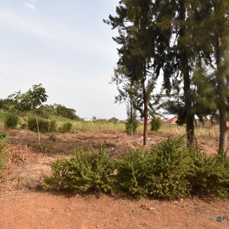 Plots for Sale in Rusororo – Prime Residential Land