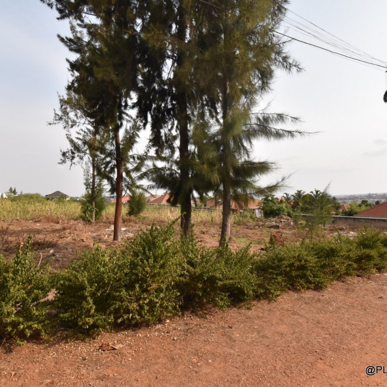 Plots for Sale in Rusororo – Prime Residential Land