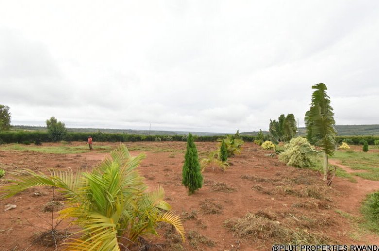 Prime Plot for Sale in Bugesera 
