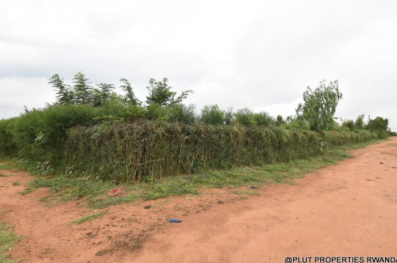 Prime Plot for Sale in Bugesera 