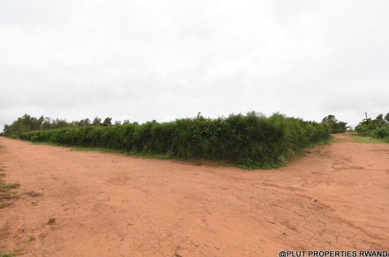 Prime Plot for Sale in Bugesera 